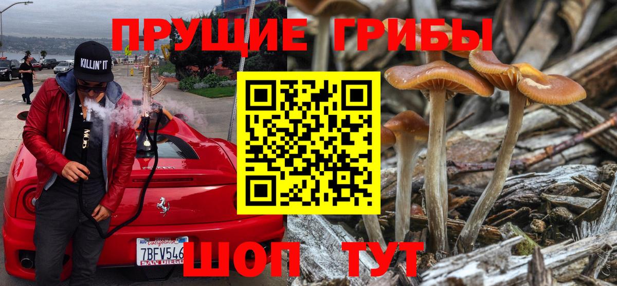 Псилоцибиновые грибы Cubensis Коряжма