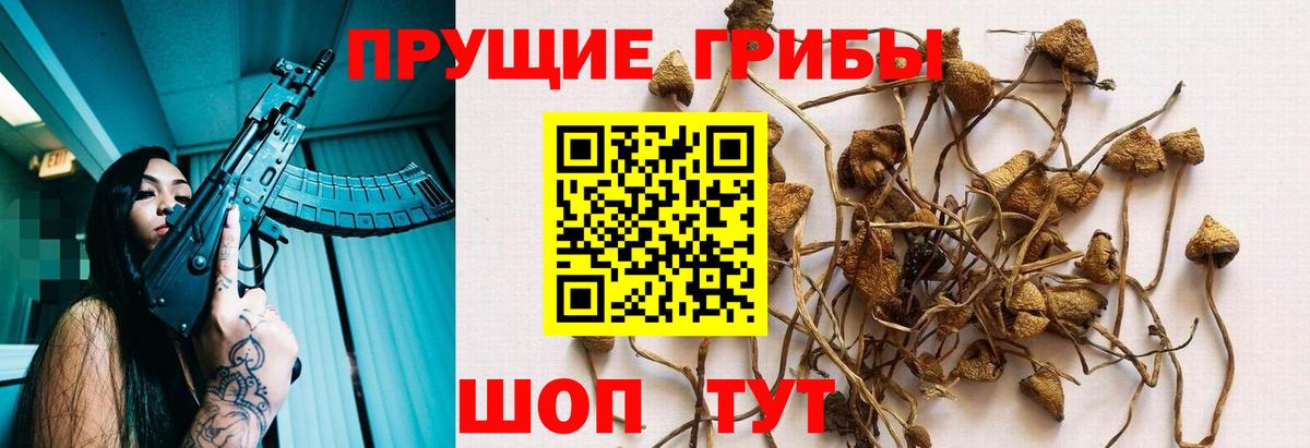 Галлюциногенные грибы MAGIC MUSHROOMS  Вход с VPN  где можно купить наркотик  Псилоцибиновые грибы Magic Shrooms  Коряжма 