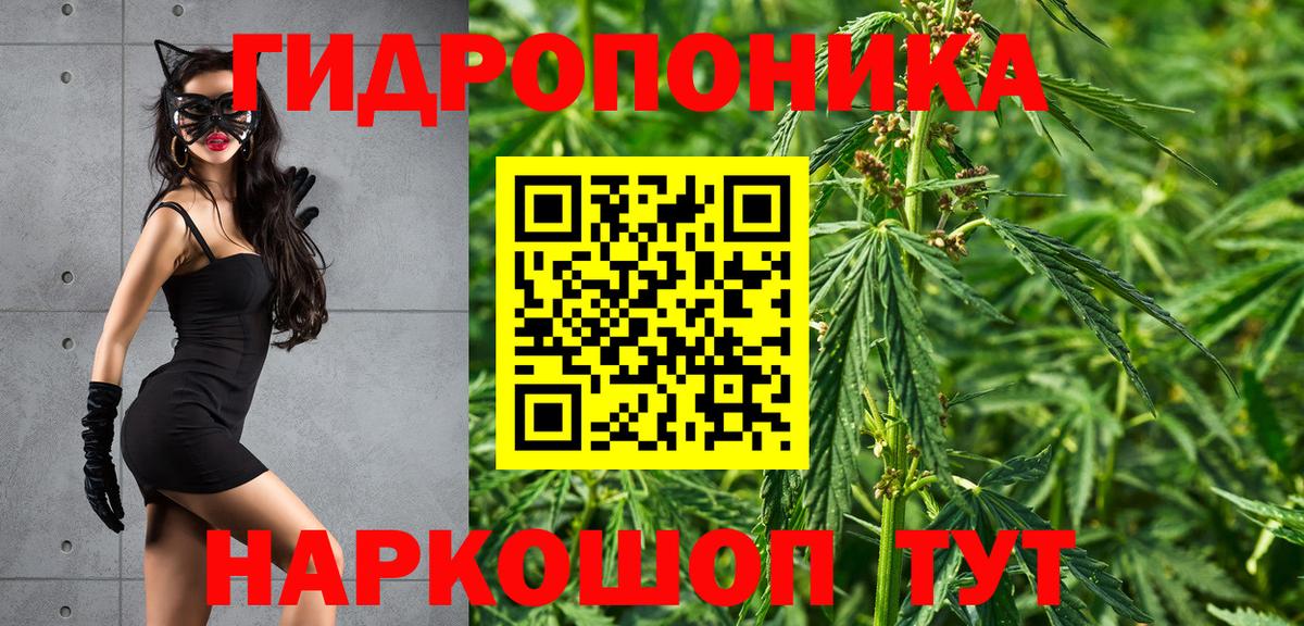 Каннабис семена Коряжма